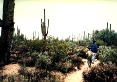 Ben Dorrough; Andy McDougal; Arizona